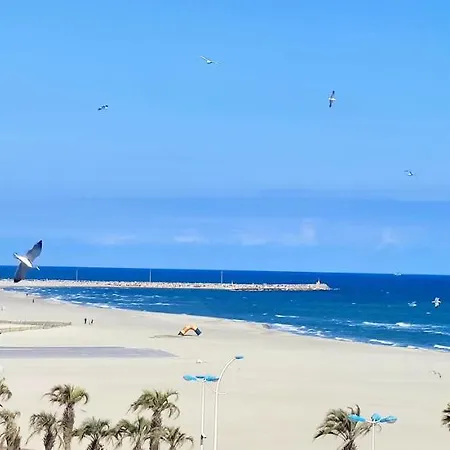 Belle Vue Mer Canet Plage Acces Piscine Couverte Et Chauffee Exterior foto